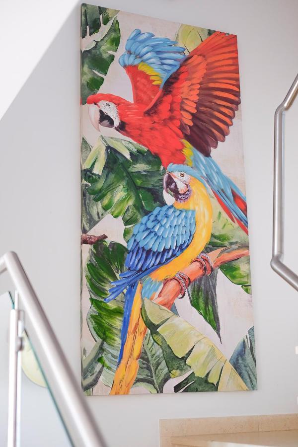 라고스 Amazing Views Casa Hummingbird 아파트 외부 사진